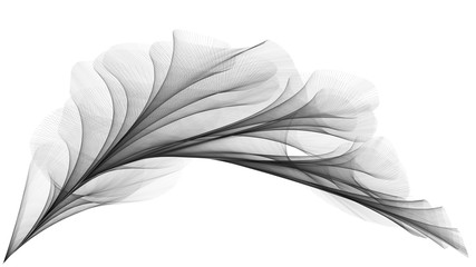 Fototapeta na wymiar 3D rendered veil looks like plume