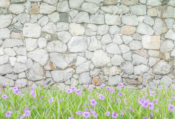 Texture of old rock stone wall of background