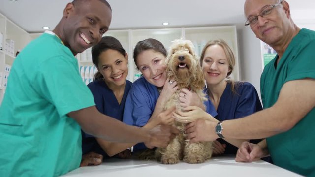  Portrait of smiling veterinarian team with cute dog in clinic