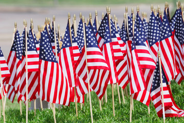 USA flags on the meadow