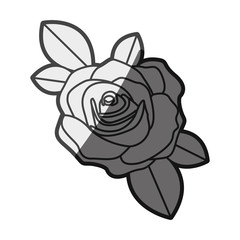 monochrome silhouette flowered rose with leaves closeup vector illustration