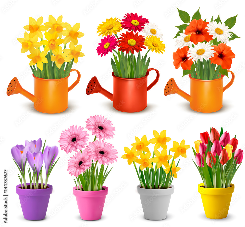 Poster spring and summer colorful flowers in pots vector