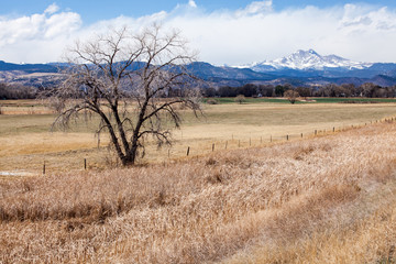 Obraz premium Longs Peak Prairie