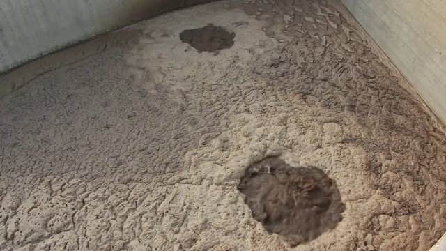 biosolids process during wastewater purification