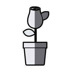 gray scale silhouette drawing rosebud with leaves and stem in flowerpot vector illustration