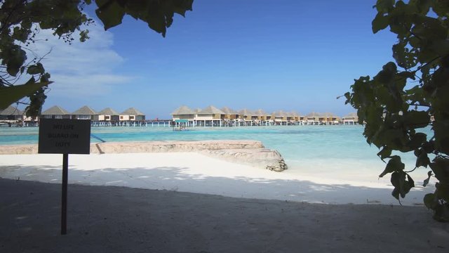 Leaves Rustle in the Wind on Vaadhoo Island, with Sound