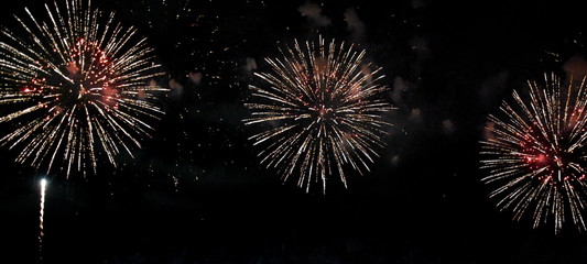 Festive fireworks in night sky. A single shot of the colorful fireworks in honor of the event. Firework multicolour fun and joyful. Different colors, amazing various fireworks, dark sky background.