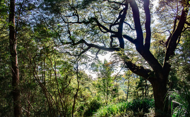 paisaje