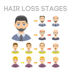 Information chart of hair loss stages types of baldness illustrated on male head vector.