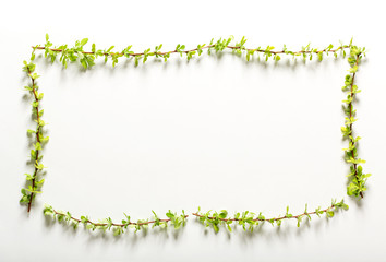 Collection of green leaves top view