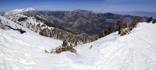 Fototapeta na wymiar Panorama of Snow covered alpine terrain on Griffith Peak near Charleston Peak in the Mount Charleston region, popular hiking and climbing spots in the Spring Mountains, near Las Vegas Nevada