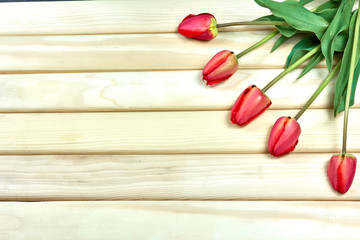 Beautiful greeting card with flowers