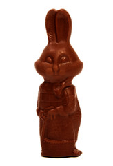 Chocolate Easter Bunny on a white background