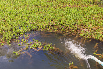 Water from a well filled a pond for irrigation