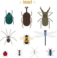 insect simple design flat illustration set