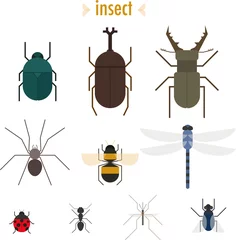 Foto op Plexiglas insect simple design flat illustration set © MINIWIDE