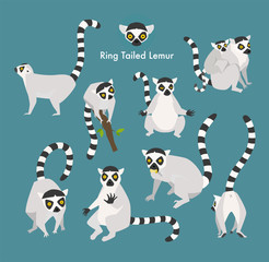 ring tail lemur animal flat design illustration set - obrazy, fototapety, plakaty