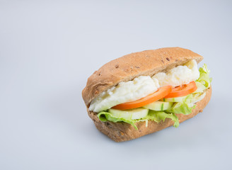 sandwich or tasty egg sandwich on background.