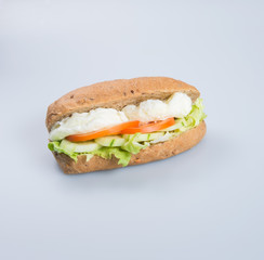 sandwich or tasty egg sandwich on background.