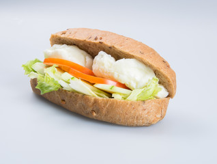 sandwich or tasty egg sandwich on background.