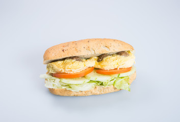 sandwich or tasty egg sandwich on background.