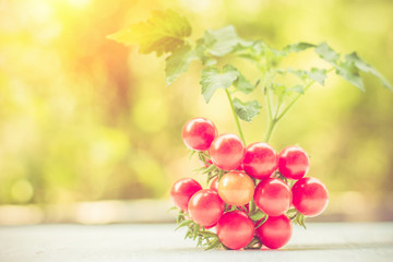 Close-up of fresh, ripe tomatoes on wood background