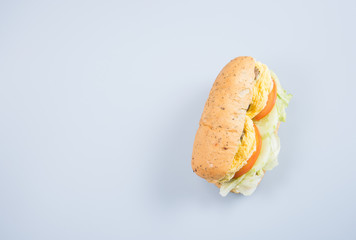 sandwich or tasty egg sandwich on background.