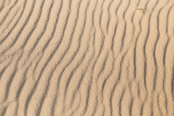 Ripples in the sand on the beach as a background.