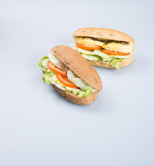 sandwich or tasty egg sandwich on background.