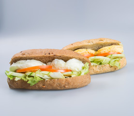 sandwich or tasty egg sandwich on background.