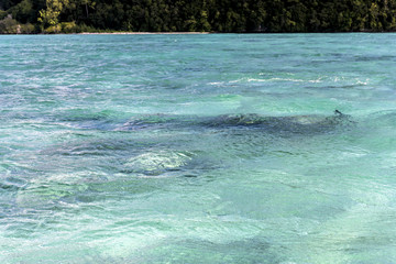 パラオ共和国　ペリリュー島