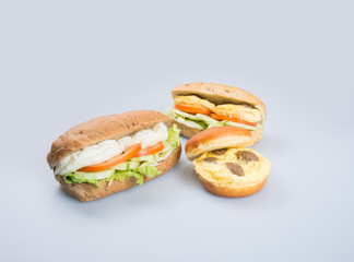 sandwich or tasty egg sandwich on background.