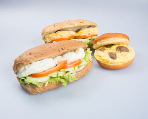 sandwich or tasty egg sandwich on background.