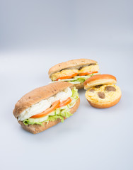 sandwich or tasty egg sandwich on background.