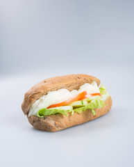 sandwich or tasty egg sandwich on background.