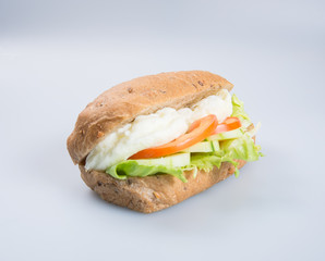 sandwich or tasty egg sandwich on background.