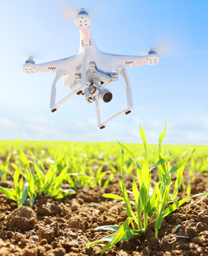 Farmer use drone for inspect of crop on wheat fields. Modern technology in agriculture. 