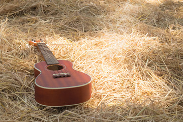 Wooden Ukulele on straw