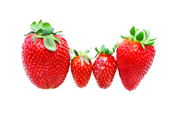 Four ripe red strawberry on a white background. Isolated