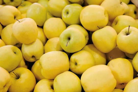 yellow apple background