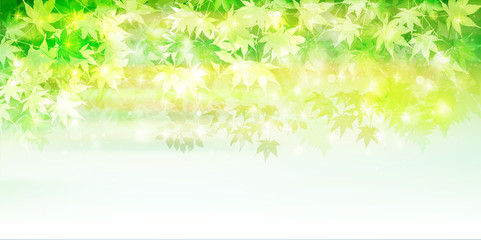 もみじ　新緑　葉　背景 