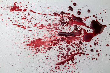 Splattered blood stain isolated on white background - photo - obrazy, fototapety, plakaty