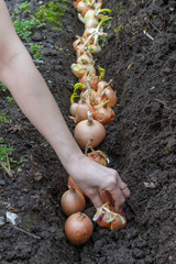 Woman and bow on the bed