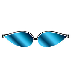 Glasses and sunglasses vector
