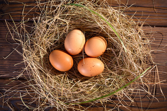 brown eggs in the nest