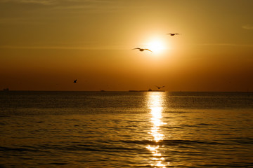Fototapeta na wymiar beautiful sunset above the sea