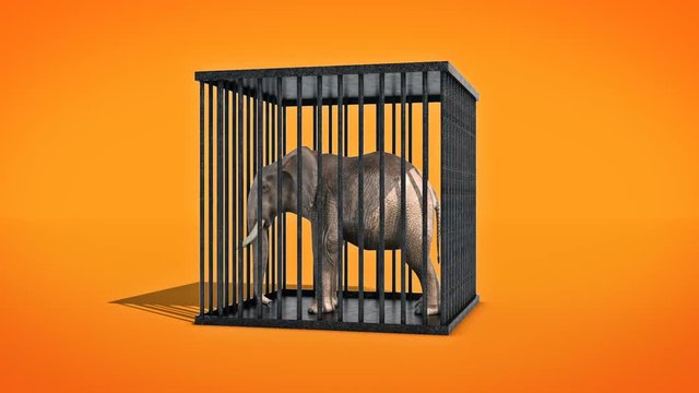 elephant in cage. 3d rendering