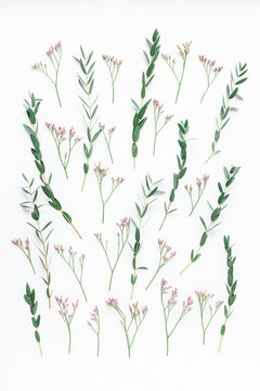 Flowers composition. Pattern made of pink flowers and eucalyptus branches on white background. Flat lay, top view