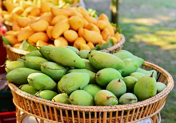 Mango in a basket The focus on the front