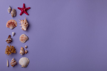 Obraz premium Seashells on purple